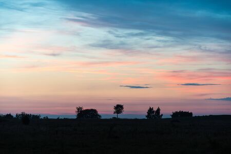 Tree sillhouettes by a bright and colored sky by sunsetの写真素材
