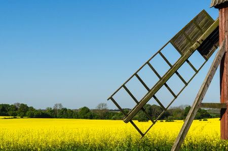 Old wooden windmill by a blossom rapeseed field at the swedish island Olandの写真素材