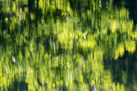 Background image with abstract green water reflections