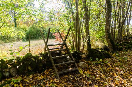 Wooden stile crossing an old mossy stone wall by fall seasonの写真素材