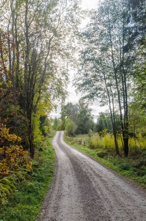 Gravel road in a colorful deciduous forest by fall seasonの写真素材