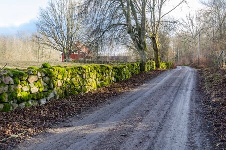 Dirt road by a sunlit mossy dry stone wallの写真素材