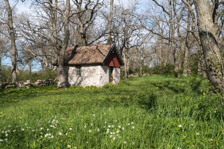 Springtime by a sheep shed in a green meadow in the swedish nature reserve at Sodra Greda on the island Olandの写真素材