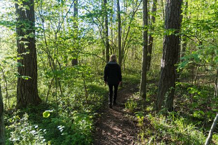Walking in a bright and lush backlit forest in spring season