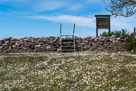 Wooden stile and blossom daisies by an old dry stone wall in a swedish nature reserve on the island Olandの写真素材