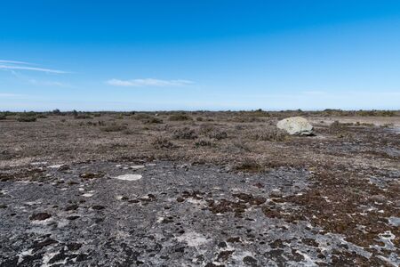 Open limestone bedrockin an unique great alvar landscape on the island Oland in Swedenの写真素材
