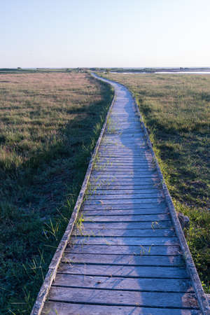 Wooden footbridge through the wetlands in Beijershamn nature reserve on the island Oland in Swedenの写真素材
