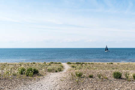View from the nature reserve Neptuni Akrar on the island Oland in Swedenの写真素材