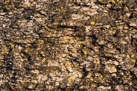 Eroded limestone cliffs close up image