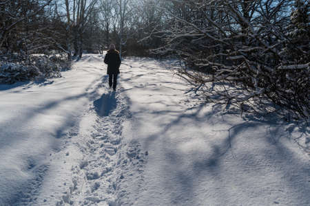 Woman walks on a snowy trail through a forestの写真素材