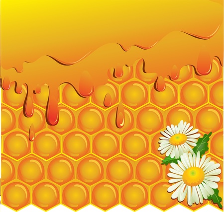Flowing honey and honeycomb background with chamomileのイラスト素材