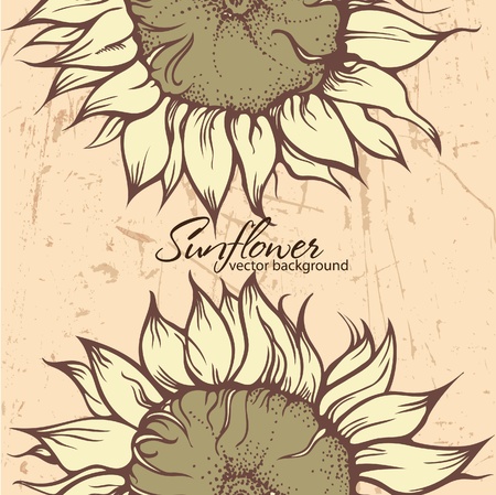 Textured background with Sunflowersのイラスト素材