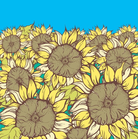 Background with field of Sunflowersのイラスト素材