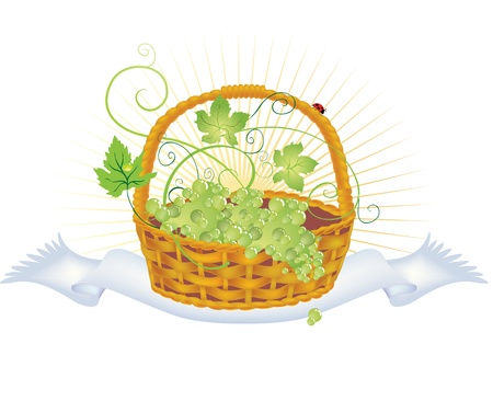 illustration of a wicker basket with grapes on a towelのイラスト素材