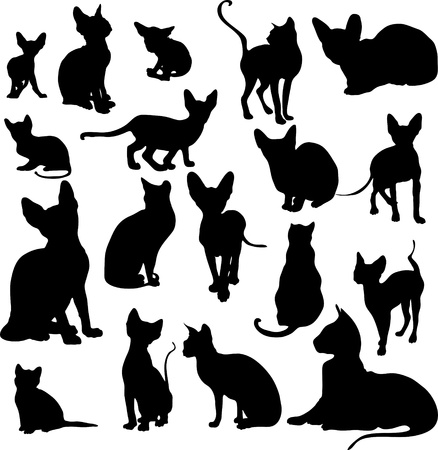 collection of silhouettes of cats on a white backgroundのイラスト素材