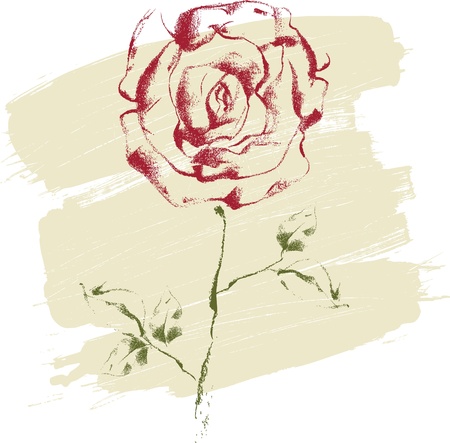 Hand drawn rose on textured backgroundのイラスト素材