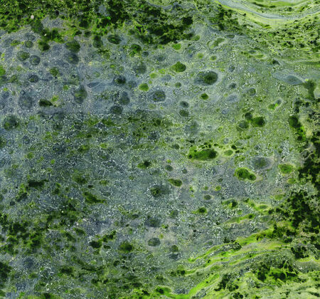 Background with oil monotypy in green coloring