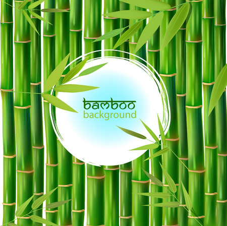 Vector Illustration of an Abstract Background with Bambooのイラスト素材