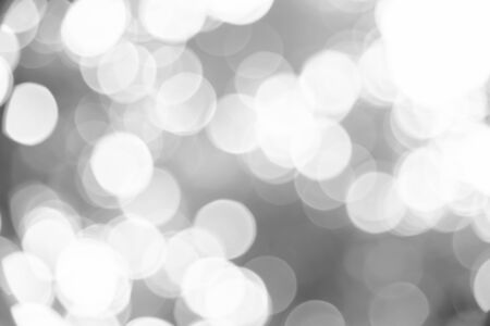 Black and white bokeh background from natural forestの写真素材