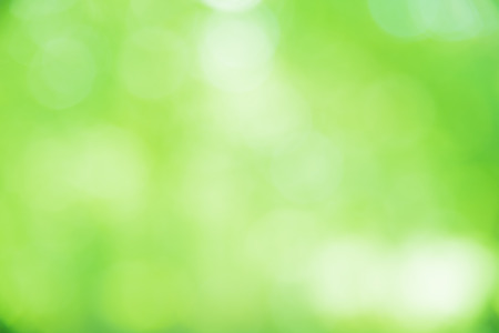 Green and white bokeh background from natural forestの写真素材