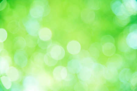 Green bokeh defocus background and texture from natureの写真素材