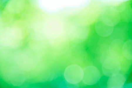 Green bokeh defocus background and texture from natureの写真素材