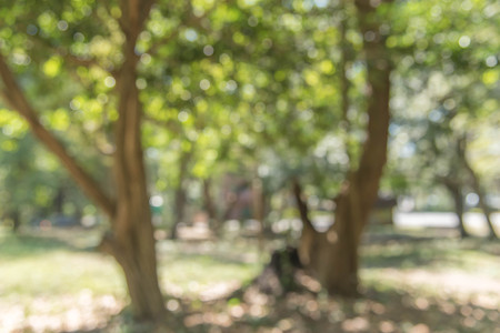 Blurred park with bokeh background from nature forestの写真素材