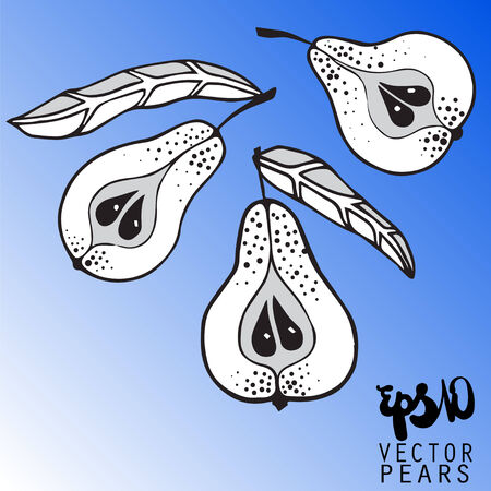 Decorative illustration of pears in vector format.のイラスト素材