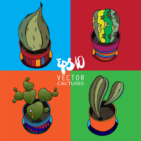 Graphic illustration of cactus in vector formatのイラスト素材
