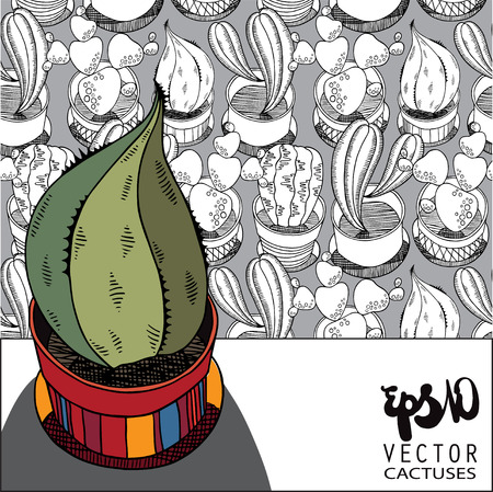Graphic illustration of cactus in vector formatのイラスト素材