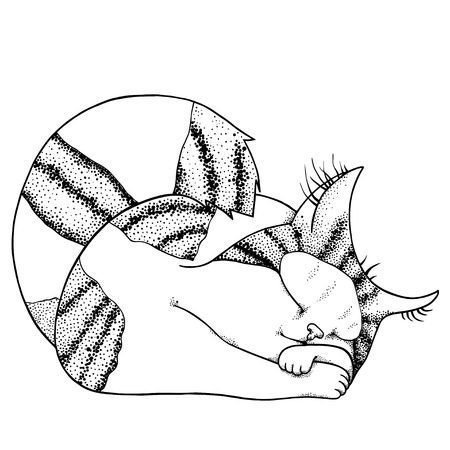 Vector illustration of sleeping little cat in graphic styleのイラスト素材