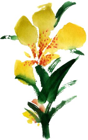 Iris. Watercolor and ink illustration in style sumi-e, u-sin. Oriental traditional painting.の写真素材