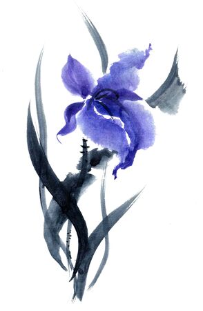 Iris. Watercolor and ink painting in style gohua, sumi-e, u-sin. Oriental traditional painting.の写真素材