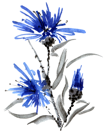 Blue flower, watercolor illustration, oriental traditional painting in style sumi-e and u-sinの写真素材