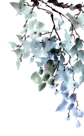 Green tree foliageの写真素材