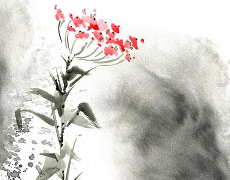 Wild meadow flowersの写真素材