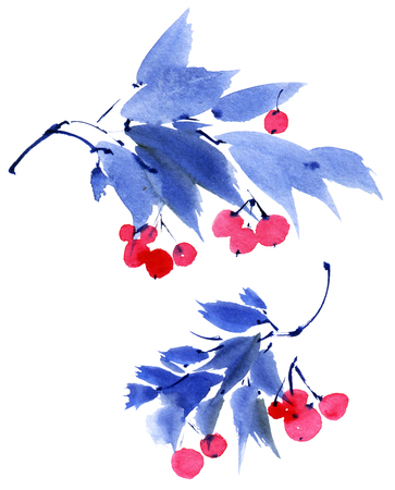 Watercolor painted leaves and berriesの写真素材