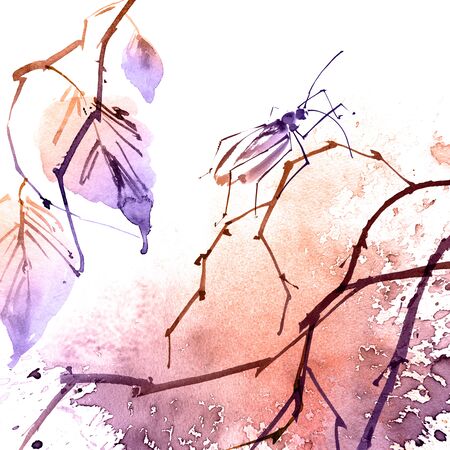 Watercolor and ink illustration of birch tree branch with leaves and insect, sumi-e and u-sin paintingの写真素材