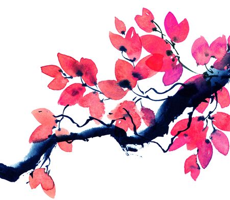 Watercolor and ink illustration of tree leaves branch on white background, sumi-e and u-sin oriental traditional paintingの写真素材