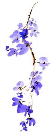 Watercolor and ink illustration of blossom tree branch. Sumi-e, u-sin painting.の写真素材