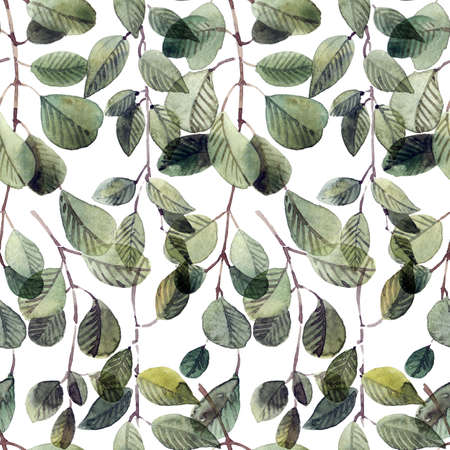 Watercolor illustration of leaves on white background. Seamless pattern.の写真素材