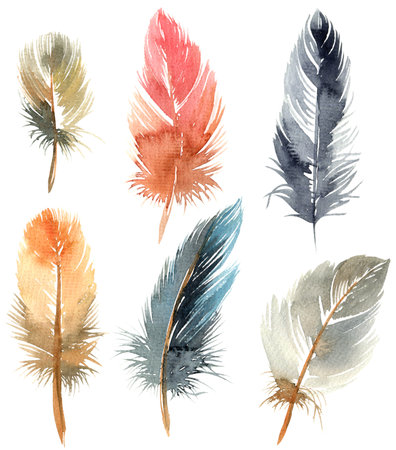 Watercolor illustration of bird feathes. Set of feathes.の写真素材