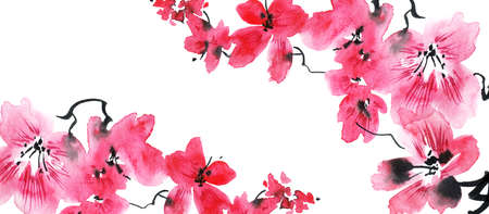 Watercolor illustration of blossom sakura tree with pink flowers and buds. Oriental traditional painting in style sumi-e, u-sin and gohua. Flowers on white background. Horizontal design.の写真素材