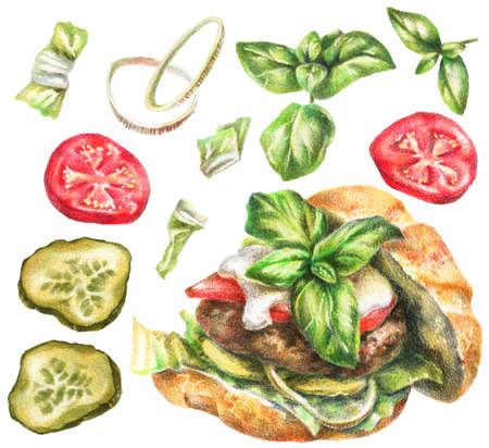 Color pencils realistic food illustration - burger, tomato, pickle, onion, basil, lettuce leaves. Hand-drawn objects on white background.の写真素材