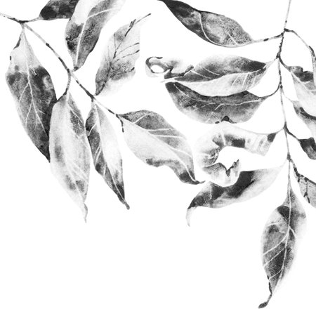 Tree branch with dry leaves - ink and watercolor artistic drawingの写真素材