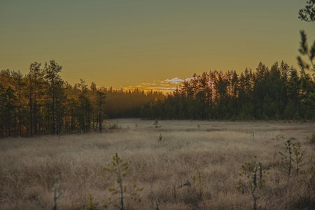 A beautiful misty morning nearby the lake