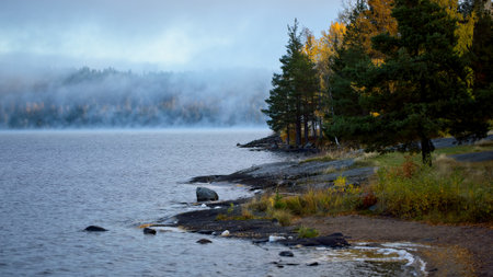 When the temperature is zero degrees C and the fog remains on the lakeの写真素材