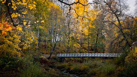 Nature pictures from Ludvika in Swedenの写真素材
