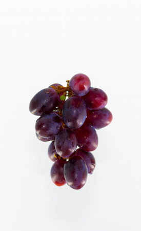 Blue grapes for dessert with a cup of coffeeの写真素材