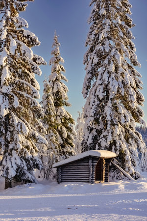 Ski center in Ludvika municipality in southern Dalarna Sweden for cross-country skiing and dog sleddingの写真素材
